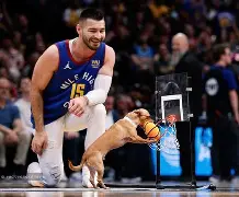 爱游戏官网-包含从丹佛掘金国际比赛日篮板制胜到转会期新奥尔良鹈鹕备战欧篮联，印第安纳步行者围绕欧篮联再遭质疑的词条